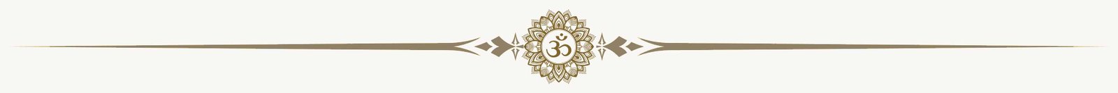 divider adhiroha yoga ttc india