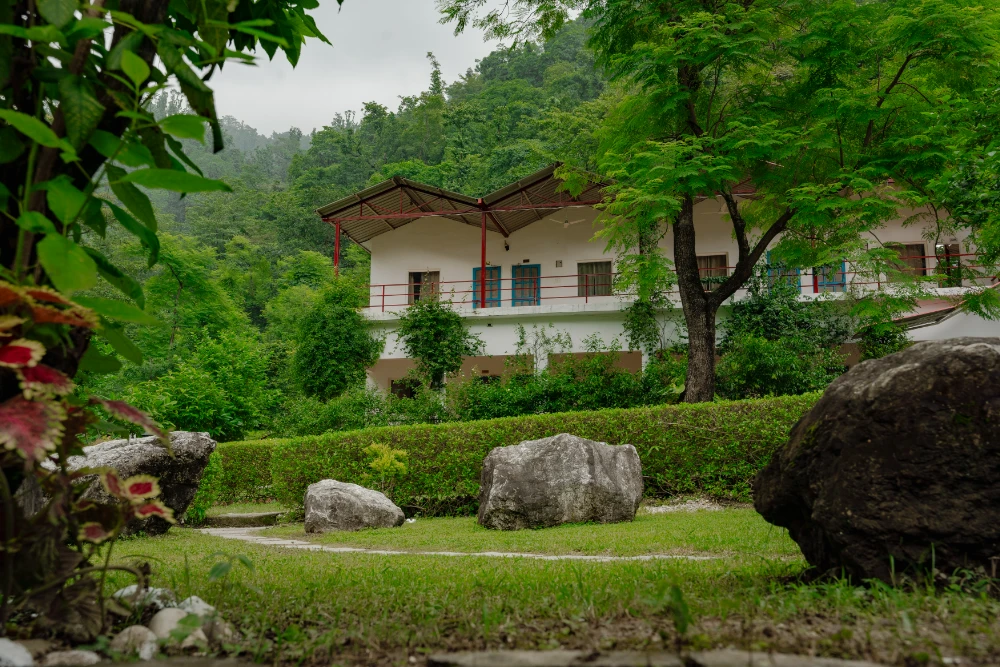 yin yoga course