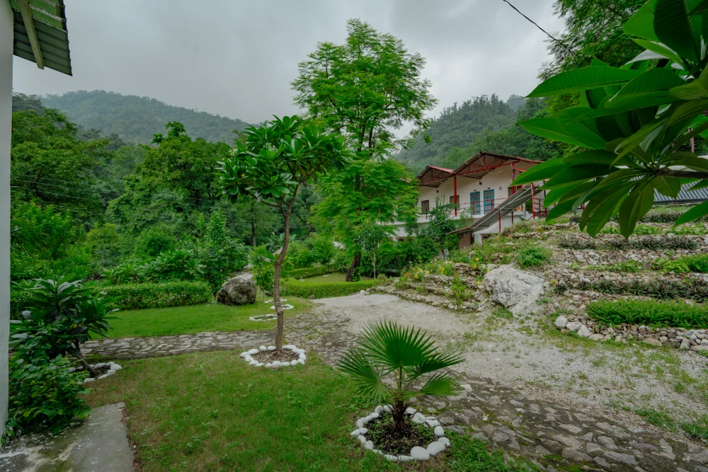 Yoga teacher training in india